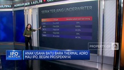 Video: Anak Usaha ADRO Mau IPO, Intip Prospeknya!