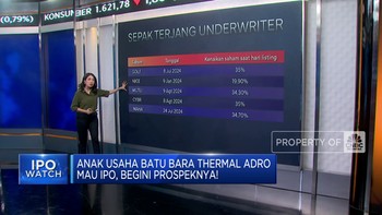 Video: Anak Usaha ADRO Mau IPO, Intip Prospeknya!