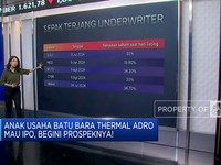 Video: Anak Usaha ADRO Mau IPO, Intip Prospeknya!