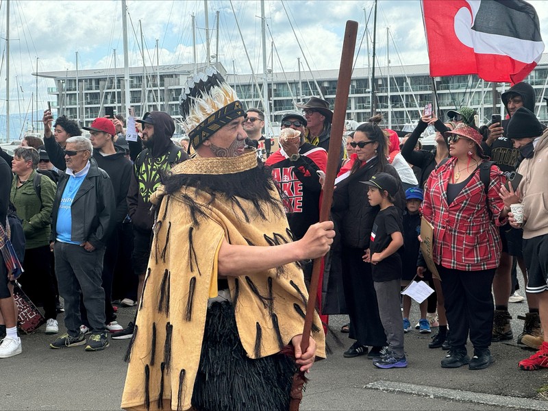 Anggota masyarakat Maori berpawai dalam aksi unjuk rasa untuk mengkritik pemerintah atas kebijakannya yang berdampak pada penduduk asli Maori di Wellington pada (19/11/2024). (AP Photo/Mark Tantrum)