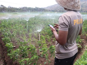 Aipda Anto Bertani Pakai Google Assistant: Hemat Biaya Produksi dan Tenaga