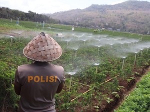 Inovasi Aipda Anto Pakai Google Assistant untuk Bertani di Bantul