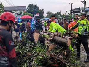 Banjir-Pohon Tumbang Sempat Tutup Jalan Trenggalek-Ponorogo, 2 Korban Luka