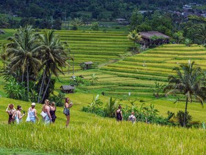 10 Rekomendasi Objek Wisata di Tabanan untuk Menikmati Libur Idul Adha 2025