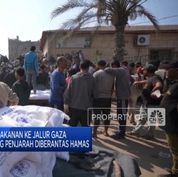 Video: Konvoi Bantuan Makanan Ke Gaza Dijarah, 98 Truk Hilang Dicuri