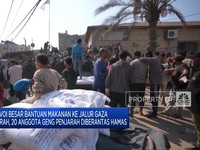 Video: Konvoi Bantuan Makanan Ke Gaza Dijarah, 98 Truk Hilang Dicuri