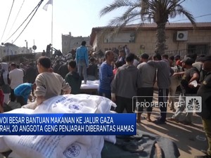 Video: Konvoi Bantuan Makanan Ke Gaza Dijarah, 98 Truk Hilang Dicuri