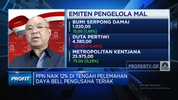 Video: Daya Beli Anjlok & PPN Naik jadi 12%, Bisnis Ritel Terancam!