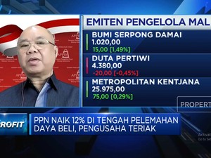  Daya Beli Anjlok & PPN Naik jadi 12%, Bisnis Ritel Terancam!