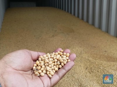 Di Balik Tarif 0%, Ada Kewajiban RI Borong Gandum dan Kedelai AS