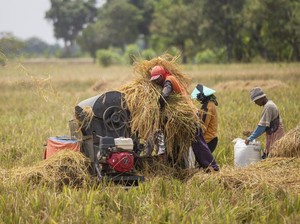 SPI Respons Kekhawatiran Lucky Hakim soal Minimnya Regenerasi Petani