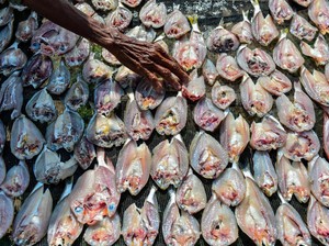 7 Manfaat Ikan Asin untuk Kesehatan yang Jarang Diketahui