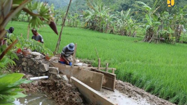 Dukung RI Swasembada Pangan, KemenPU Kerahkan Petani Bangun Irigasi