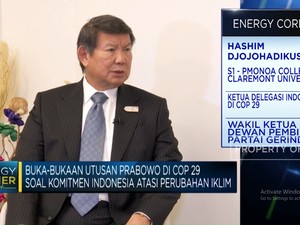 Utusan Prabowo di COP29 Ungkap Komitmen RI Atasi Perubahan Iklim