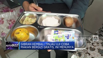 Video: Wapres Gibran Tinjau Makan Bergizi Gratis, Ini Menunya!