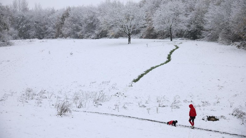 Badai salju mulai menghantam wilayah Inggris pertengahan November ini. Badai salju ini mengakibatkan hampir lebih dari 200 sekolah di Inggris tutup. (REUTERS/Phil Noble)