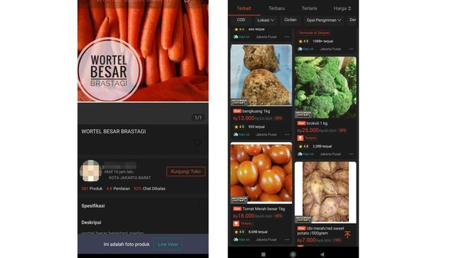 Fenomena Baru Warga RI, Makin Getol Belanja Sayur Cs di Ecommerce