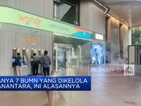 Video: Hanya 7 BUMN Yang Dikelola Danantara, Ini Alasannya