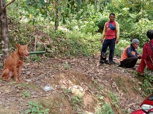 Kades di Trenggalek Manfaatkan Dana Desa untuk Beli 8 Anjing Pemburu
