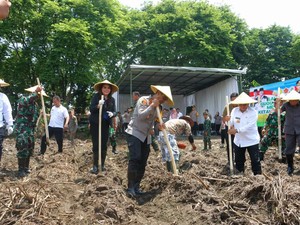 2 Hektare Lahan Tidur di Mojokerto Diolah untuk Kebun Jagung