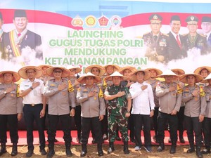 Dukung Ketahanan Pangan, Polda Metro Tanam Sayur di Lahan 15 Ha Cigombong