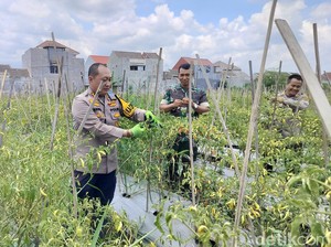 Upaya Ketahanan Pangan di Tengah Keterbatasan Lahan Kota Malang