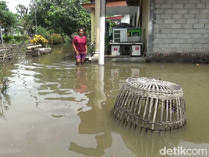 Ratusan Rumah di Lumajang Banjir Dampak Air Sungai Banter Meluap