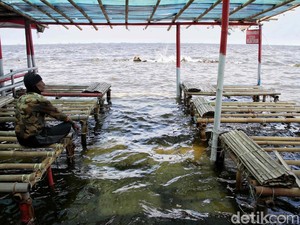 Video: Berkah di Tengah Banjir, Warga Semper Barat Jakut Berburu Ikan