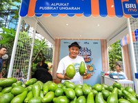 Petani Asal Ungaran Ini Berhasil Kembangkan Budidaya Alpukat