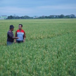 Bertambah Lagi, Desa Energi Berdikari Hadir di Indramayu!