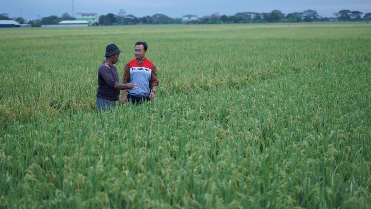 Indramayu Bergeliat: Desa Energi Mandiri Kembali Hadir!