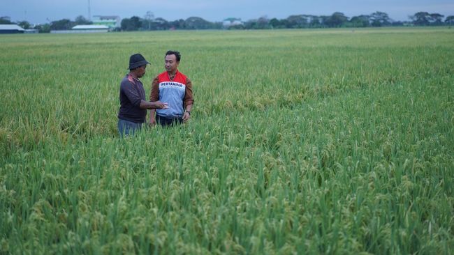 Bertambah Lagi, Desa Energi Berdikari Hadir di Indramayu!