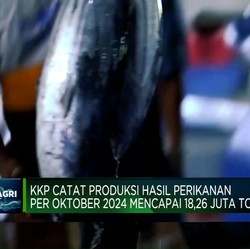 Video: Oktober 2024, Produksi Perikanan RI Tembus 18,26 Juta Ton