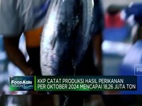 Video: Oktober 2024, Produksi Perikanan RI Tembus 18,26 Juta Ton