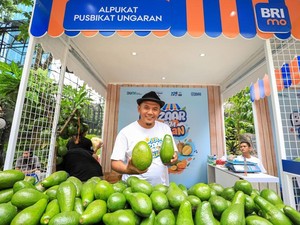 Petani di Semarang Panen Alpukat 2 Ton/Hari, Ini Rahasianya