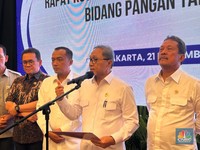 Zulhas Sebut Prabowo Majukan Target Swasembada Pangan ke Tahun 2027