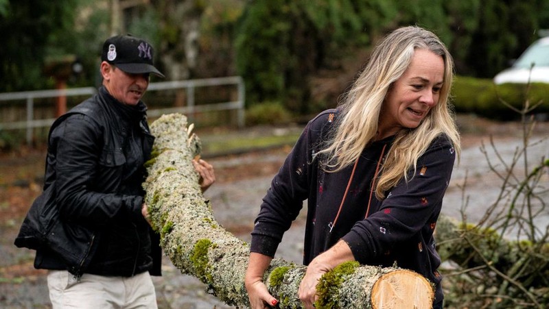 Pemandangan drone menunjukkan banyak pohon tumbang setelah badai dahsyat menghantam wilayah Pasifik Barat Laut AS dan Kanada bagian barat, yang menyebabkan pemadaman listrik di Washington, Oregon, California, dan British Columbia sekaligus mengakibatkan kekacauan pada perjalanan darat, di Seattle, Washington, AS, 20 November 2024. (REUTERS/David Ryder)