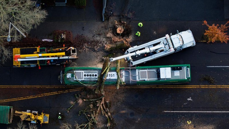 Pemandangan drone menunjukkan banyak pohon tumbang setelah badai dahsyat menghantam wilayah Pasifik Barat Laut AS dan Kanada bagian barat, yang menyebabkan pemadaman listrik di Washington, Oregon, California, dan British Columbia sekaligus mengakibatkan kekacauan pada perjalanan darat, di Seattle, Washington, AS, 20 November 2024. (REUTERS/David Ryder)