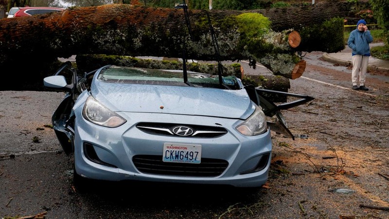 Pemandangan drone menunjukkan banyak pohon tumbang setelah badai dahsyat menghantam wilayah Pasifik Barat Laut AS dan Kanada bagian barat, yang menyebabkan pemadaman listrik di Washington, Oregon, California, dan British Columbia sekaligus mengakibatkan kekacauan pada perjalanan darat, di Seattle, Washington, AS, 20 November 2024. (REUTERS/David Ryder)