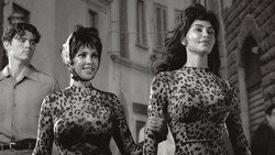 Kolaborasi Brand Kim Kardashian Skims x D&G Heboh Sampai Website Crash