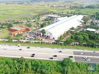 Demi Masa Depan Hijau, PTPP Tanam 1.000 Harapan di Way Kambas
