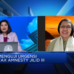 Video: Wamenkeu Era SBY Soal Rencana Tax Amnesty Jilid III Prabowo