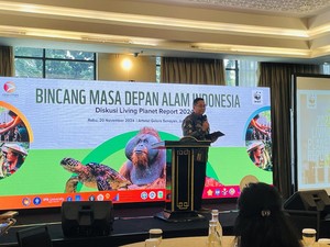 WWF: Kolaborasi Sea Wall dan Mangrove Penting untuk Perlindungan Pesisir