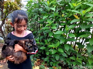 11 Tips Meninggalkan Hewan Peliharaan Saat Mudik Lebaran!