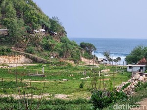 Pantai Sanglen Bakal Dikelola Investor, Keraton Jogja Siapkan Penertiban