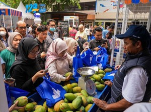 Diberdayakan BRI, Petani Mangga Mampu Perluas Lahan-Perbaiki Taraf Hidup