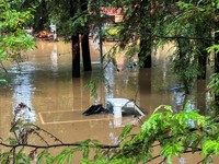 Potret Banjir Rendam California Usai Badai Besar dan Hujar Deras