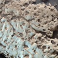 Peneliti NASA Ungkap Fakta Tak Terduga Soal Planet Mars