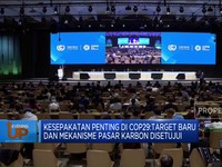 Kesepakatan di COP29, Target Baru & Mekanisme Pasar Karbon Disetujui
