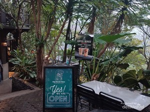 Sejenak Nikmati Sejuknya Bandung di Kafe Kopi Bawah Pohon